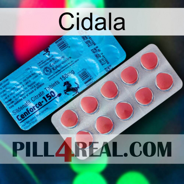 Cidala new14